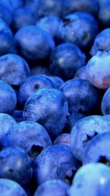 blueberry wallpaper iphone
