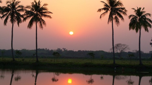 Image body of water near green grass field during sunset