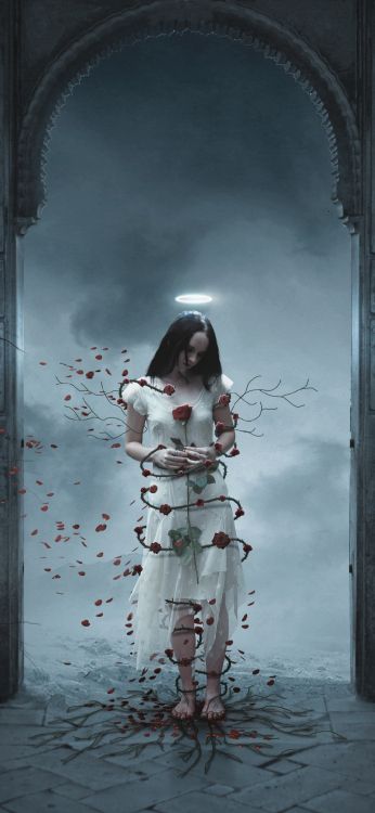 Obscurité, Art, Fenêtre, Rameau, de Teintes et de Nuances. Wallpaper in 1080x2340 Resolution