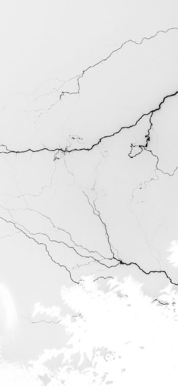 平板电脑, Ios, 自然环境, 斜坡, 树枝 壁纸 1125x2436 允许