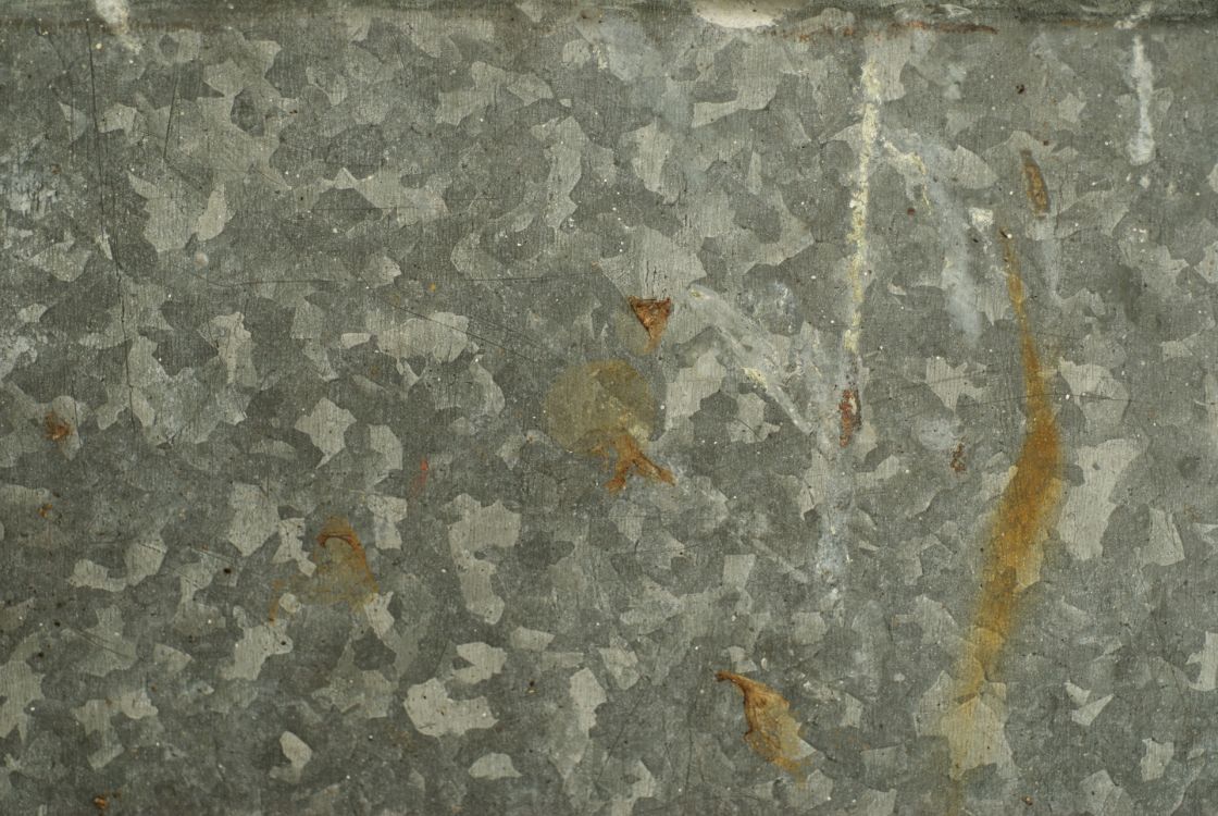 Feuille Séchée Brune Sur Sol en Béton Gris. Wallpaper in 1920x1285 Resolution