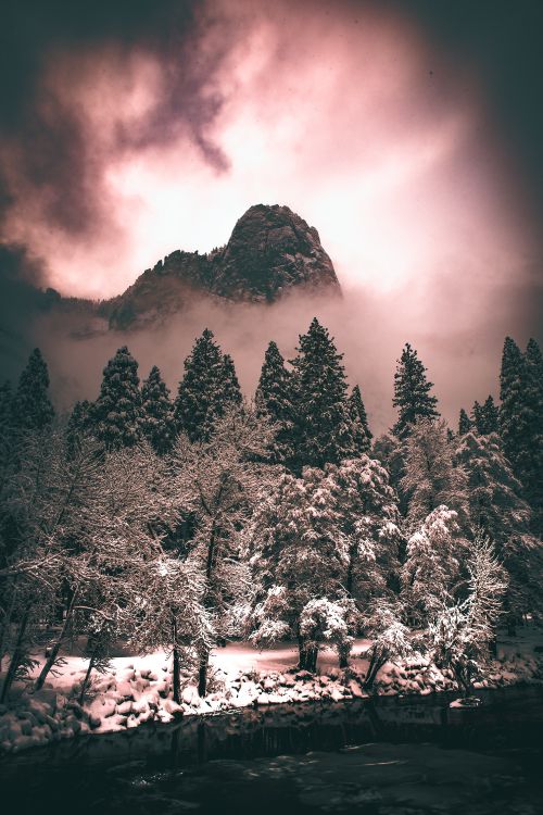 Ambiente, Montaña, Naturaleza, Paisaje Natural, Sucursal. Wallpaper in 4016x6016 Resolution