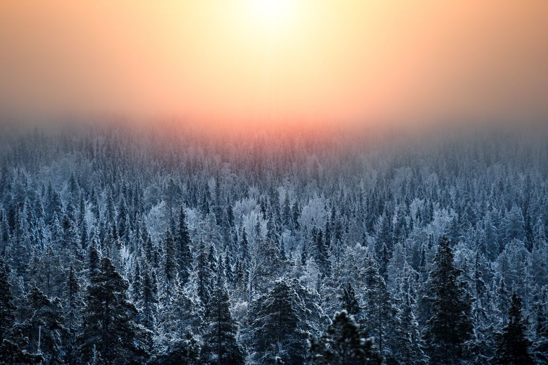 Nature, Paysage Naturel, Hiver, Blue, Matin. Wallpaper in 5472x3648 Resolution