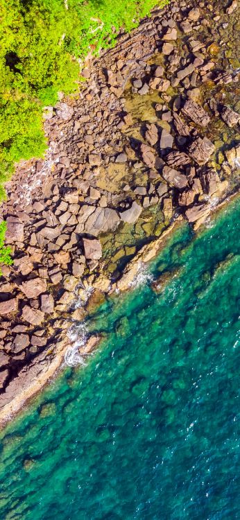 植被, 水道, 水资源, 露头, 自然景观 壁纸 1080x2340 允许