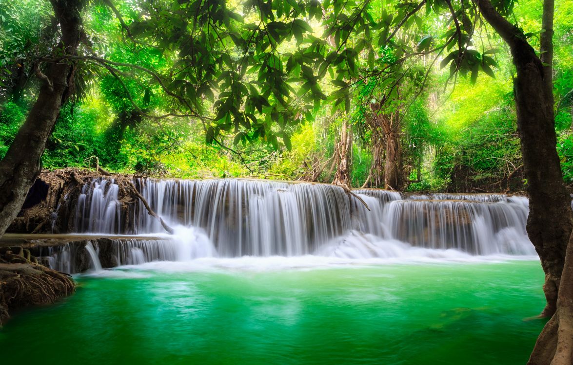 Cascades en Forêt Pendant la Journée. Wallpaper in 5618x3583 Resolution