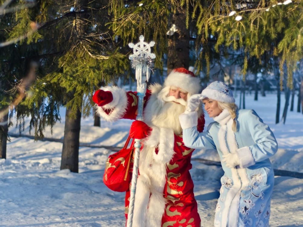 ded moroz, new year, holiday, Santa Claus, winter