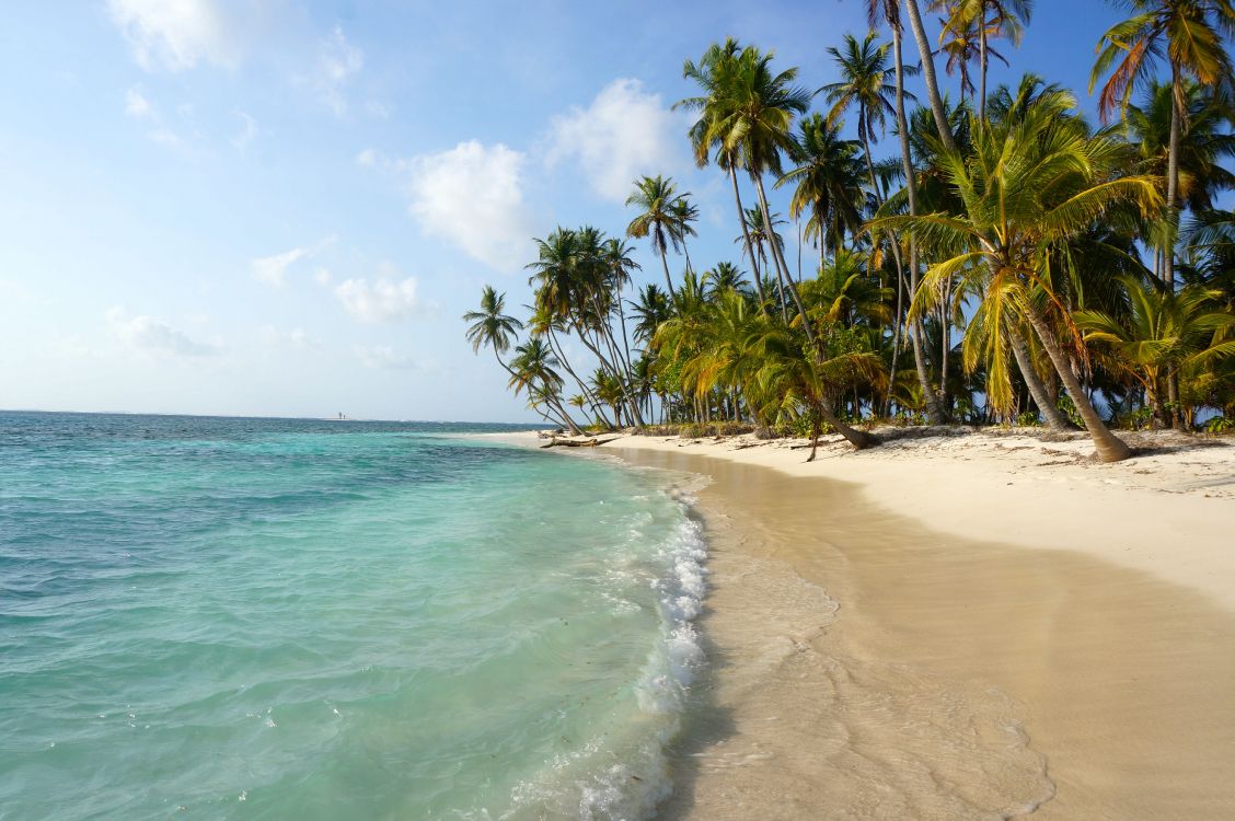 人体内的水, 热带地区, 岸边, 大海, 加勒比 壁纸 4912x3264 允许