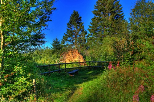 Image green trees and brown wooden fence