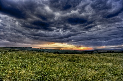 Image green grass field under cloudy sky during sunset