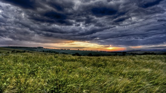 Image green grass field under cloudy sky during sunset