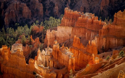 Image brown rock formation with green trees during daytime