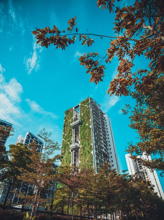 建筑, 花园, 城市, 里程碑, 雷勒蓝色的 壁纸 3264x4358 允许