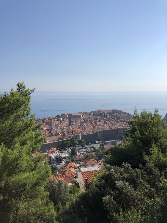 安装的风景, 科学, 生物学, 植被, 街区 壁纸 1536x2048 允许