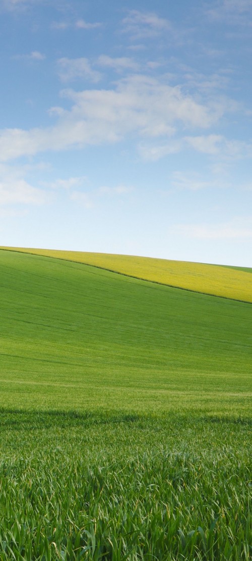 Image grassland, new barag right banner, mongolia, Wikipedia, banners of inner mongolia