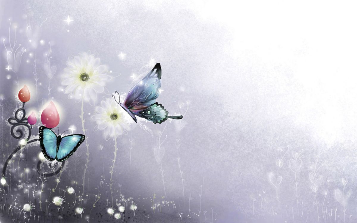 White and Purple Flower With Butterfly on Top. Wallpaper in 4000x2500 Resolution