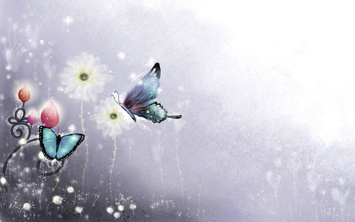 Fleur Blanche et Violette Avec Papillon Sur le Dessus. Wallpaper in 4000x2500 Resolution