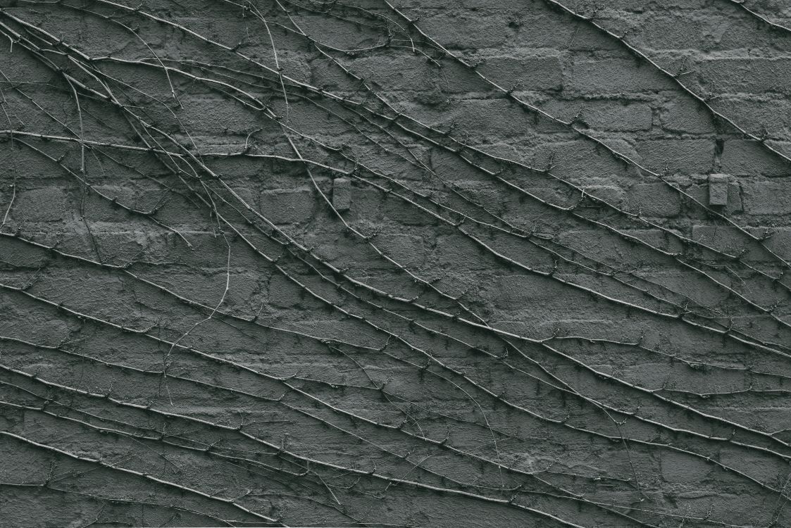 黑色的, 黑色和白色的, 纹理, 关闭了 壁纸 5936x3963 允许