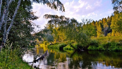 Image green trees beside river under white clouds and blue sky during daytime