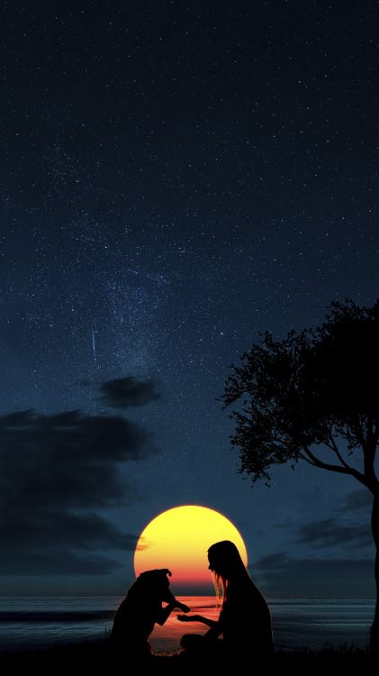 Mondsilhouette Mädchen Und Hund, Dogge, Atmosphäre, Licht, Natur. Wallpaper in 1440x2560 Resolution