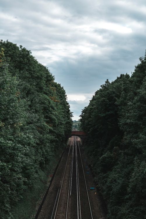 rail transport, Railway, track, transport, tree