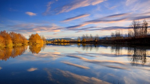 Image body of water near trees during daytime