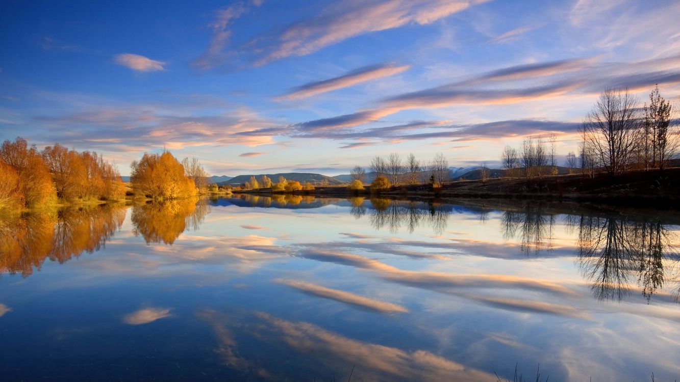 body of water near trees during daytime