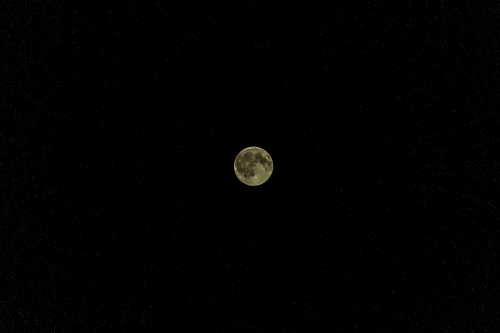 Image full moon in the night sky