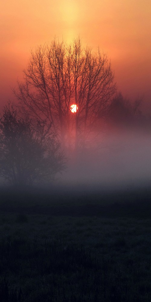 Image atmosphere, cloud, plant, ecoregion, natural landscape