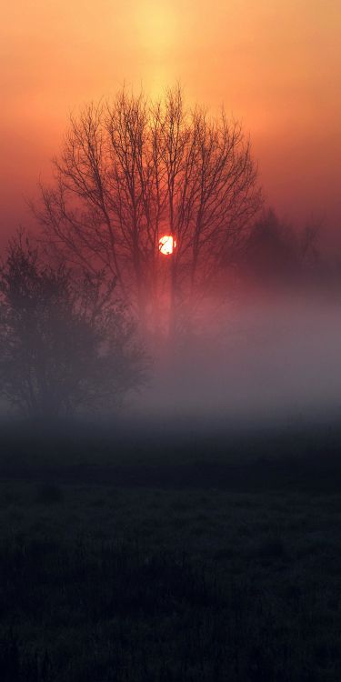 atmosphere, cloud, plant, ecoregion, natural landscape