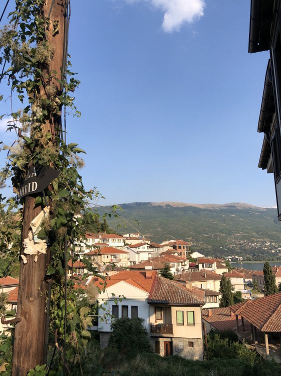 Inmueble, Ventana, Propiedad, Barrio, Zona Residencial. Wallpaper in 1536x2048 Resolution