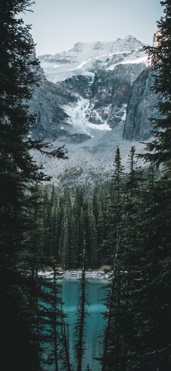Montagnes et Forêt, Forêt, Eau, Neige, Paysage Naturel. Wallpaper in 1080x2340 Resolution