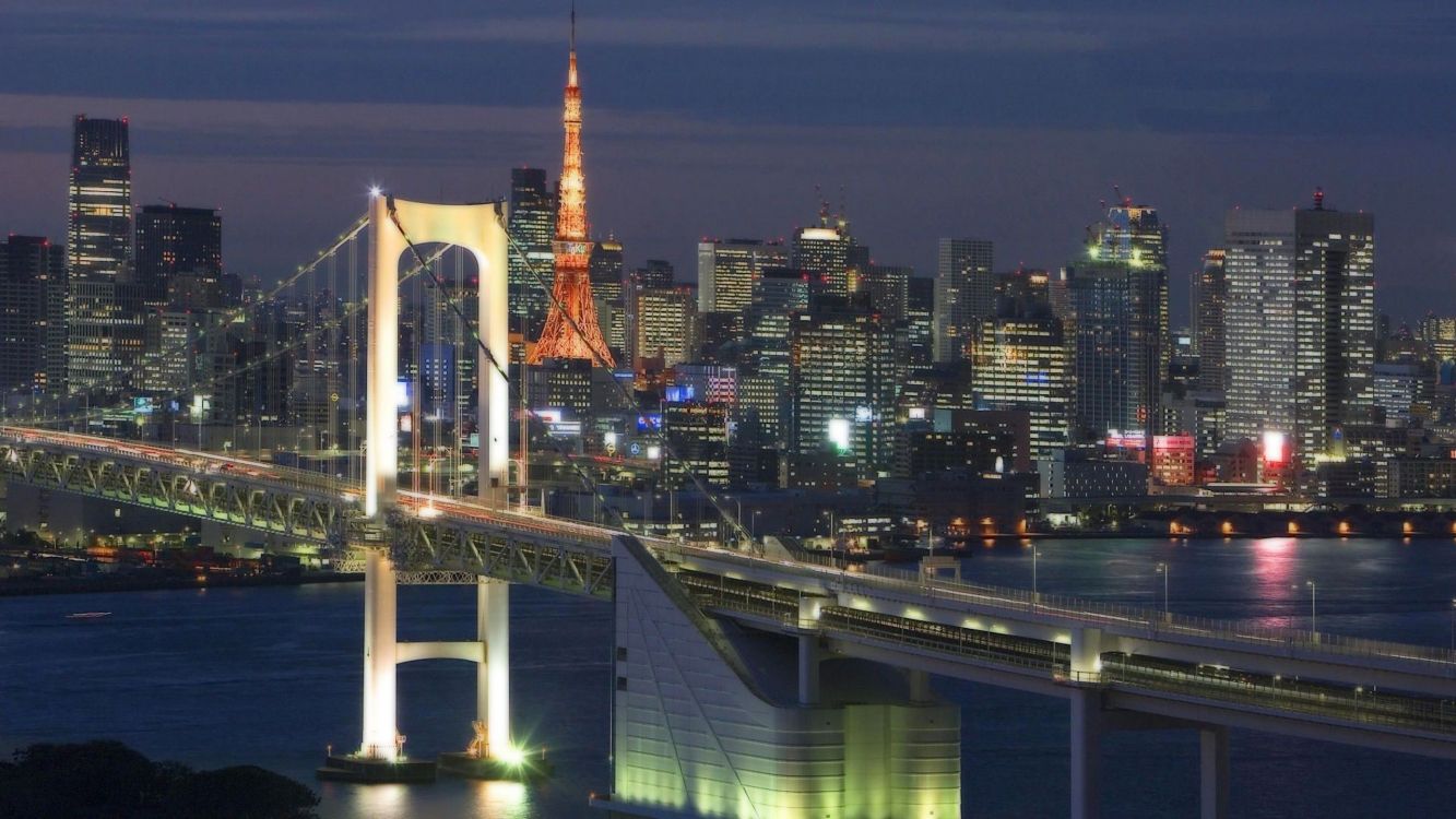 lighted bridge near city buildings during night time