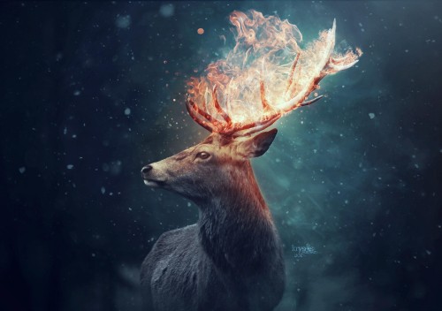 Image brown deer with blue and red lights