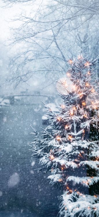 新的一年, 圣诞节, 智能手机, 圣诞树, 落叶松 壁纸 1280x2793 允许