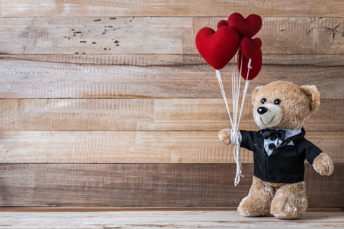 Teddybär, Stofftier, Spielzeug, Liebe, Herzen. Wallpaper in 2560x1706 Resolution