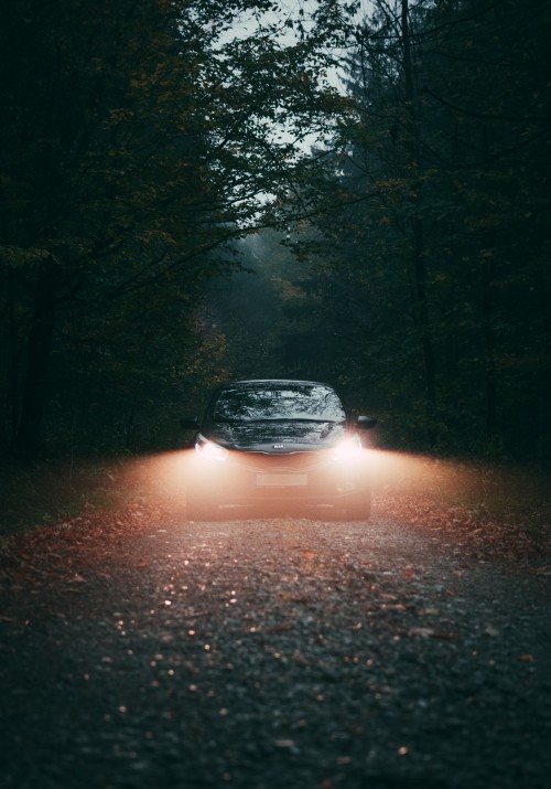 Image black car on road between trees during daytime