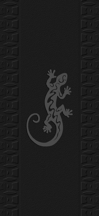 Gecko, Kunst, Werkstoffeigenschaften, Muster, Rechteck. Wallpaper in 1080x2340 Resolution