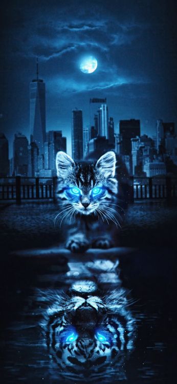 Eau, Gratte-ciel, Felidae, Lumière, Blue. Wallpaper in 1080x2340 Resolution