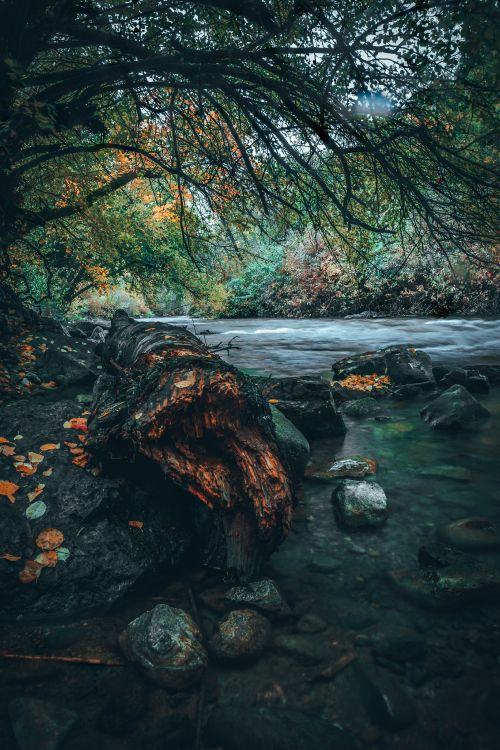 Download 3871x5806 Wallpaper Nature, Eau, Paysage Naturel, Green, Réflexion Nature, Eau, Paysage Naturel, Green, Réflexion. Wallpaper in 3871x5806 Resolution