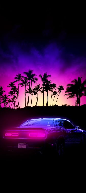 Dodge, Nature, Rap, Rythme, Battement. Wallpaper in 1080x2400 Resolution