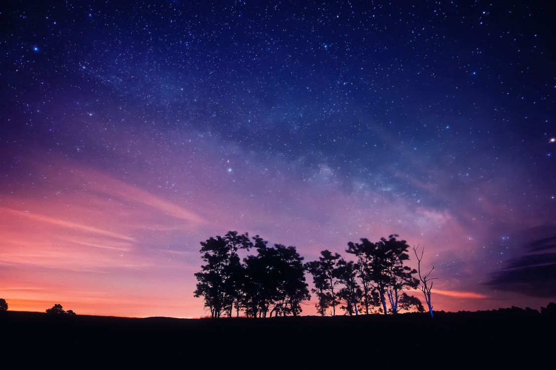 Silhouette Von Bäumen Unter Blauem Himmel Während Der Nacht. Wallpaper in 2048x1363 Resolution