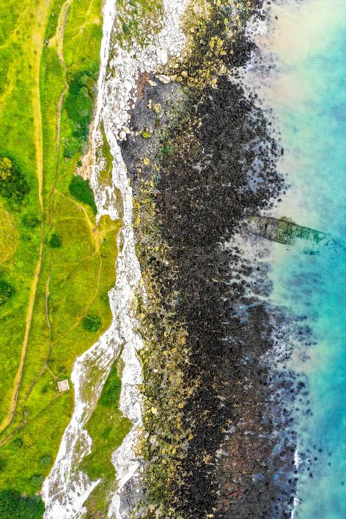 Mètre, Les Ressources en Eau, Canot Bouleau, Green, Feuille. Wallpaper in 3648x5472 Resolution