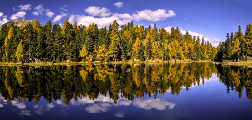 Image green trees beside body of water under blue sky during daytime