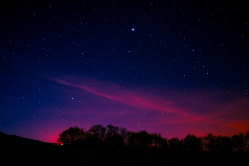 Image silhouette of trees under purple sky