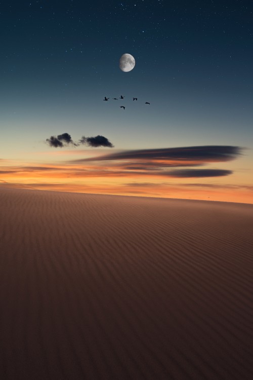 Image horizon, natural environment, cloud, sand, sky