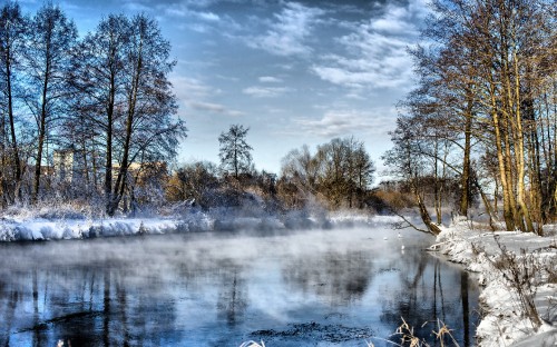 Image brown trees beside river under cloudy sky during daytime