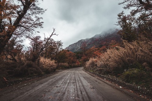 Image road, natural landscape, tree, cloud, asphalt