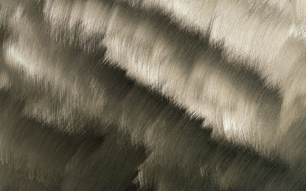 皮毛, 黑色和白色的, 关闭了 壁纸 3200x2000 允许