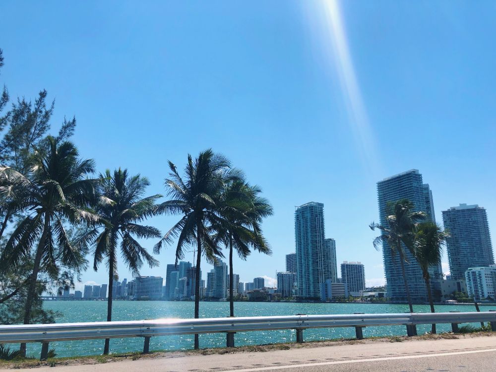 棕榈树, 房地产, 塔块, 公寓, 木本植物 壁纸 4032x3024 允许