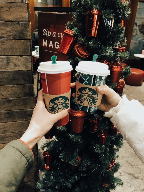 Image starbucks new logo 2011, Christmas Day, christmas decoration, flowerpot, holiday
